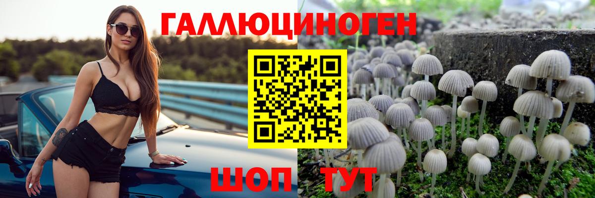 купить наркоту  Галлюциногенные грибы прущие грибы  Вход с VPN  Псилоцибиновые грибы Psilocybine cubensis  Советская Гавань 